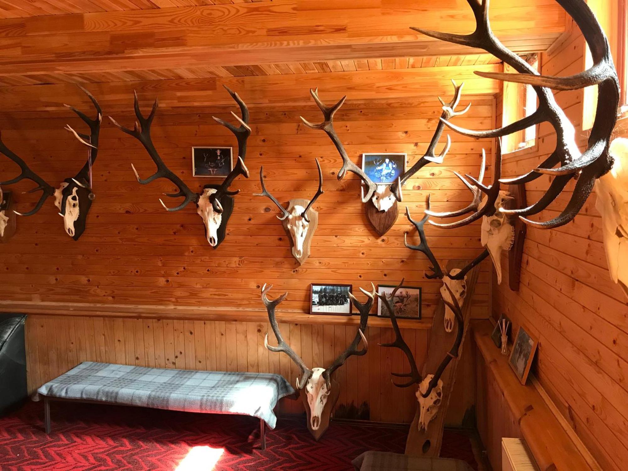 Pilskalni Hotel Ivande Bagian luar foto